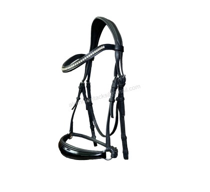 Leather Bridle 